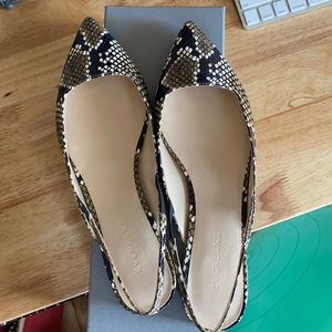 Everlane the editor slingback 8